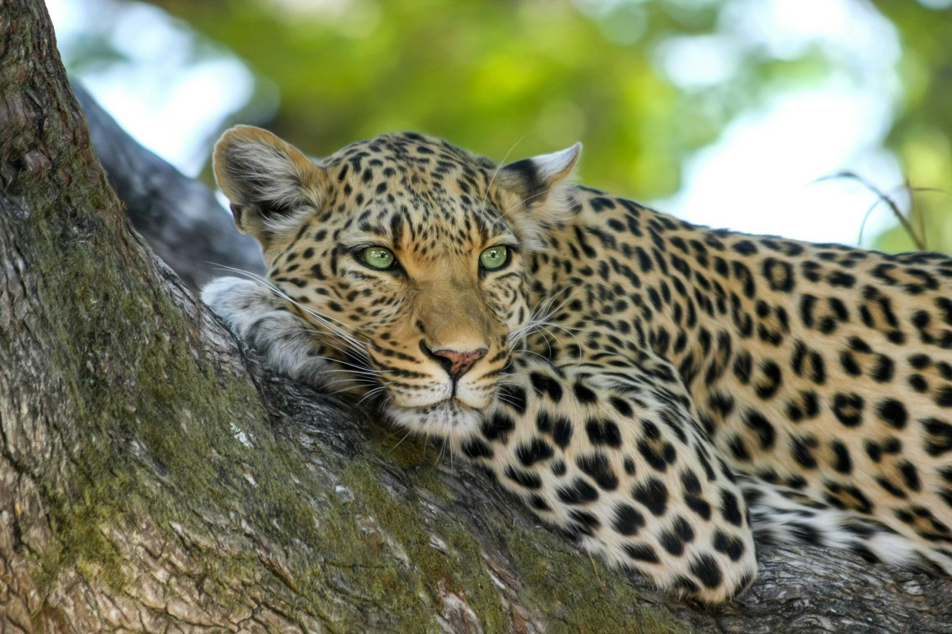 Watamu Full Experience — Half Board