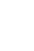 TAWI Watamu