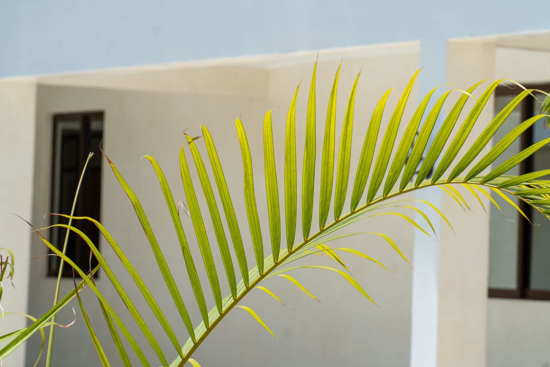 TAWI Watamu room